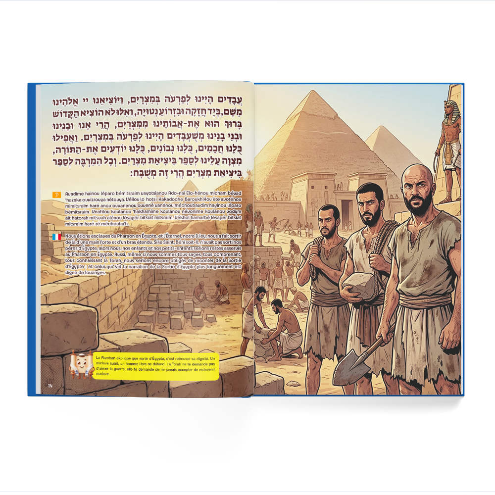 Haggada jewbuzz - Edition Israël